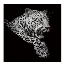 Oppidan Home "Leopard in Black and White" Acrylic Wall Art (40"H X 40"W)